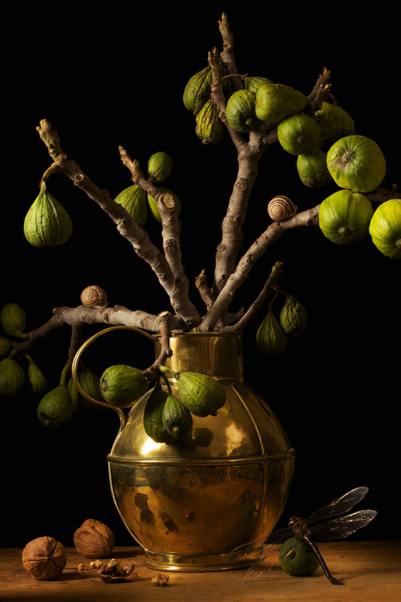 Paulette Tavormina, Figs, After G.F, 2009, Archival pigment print, Available in various sizes