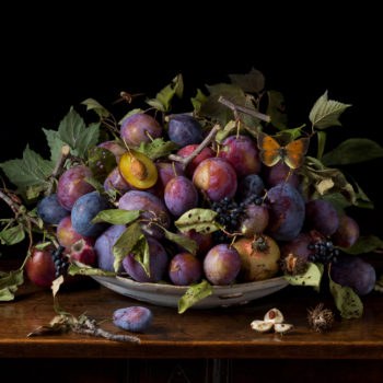 Paulette Tavormina, Italian Plums, After G.G, 2015, Archival pigment print, Available in various sizes