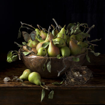 Paulette Tavormina, Orchard Pears, 2016, Archival pigment print, Available in various sizes