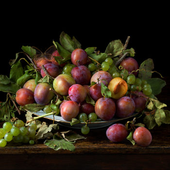 Paulette Tavormina, Orchard Plums, 2016, Archival pigment print, Available in various sizes