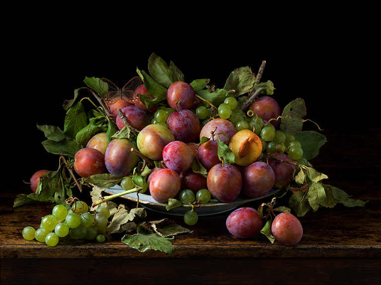 Paulette Tavormina, Orchard Plums, 2016, Archival pigment print, Available in various sizes