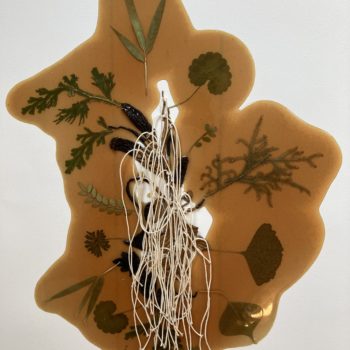 Jil Weinstock, Unwanted Collaborator #11, 2022, Thread, plant life, rubber, watercolor paper, 22 x 30 inches