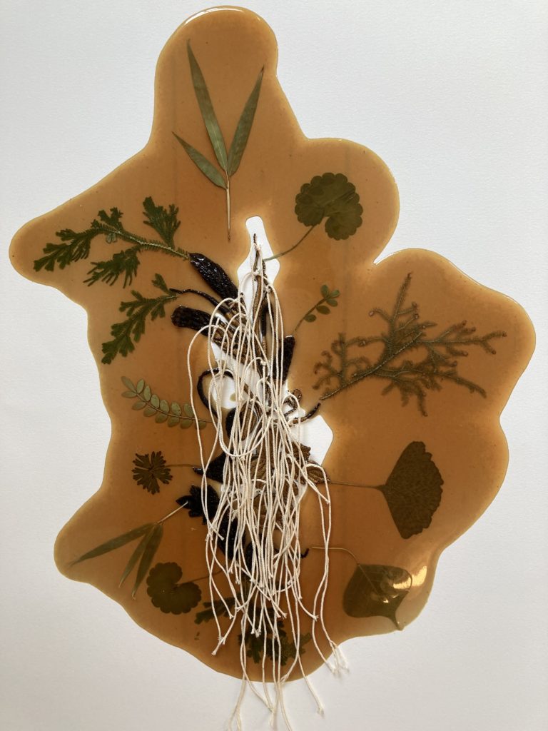 Jil Weinstock, Unwanted Collaborator #11, 2022, Thread, plant life, rubber, watercolor paper, 22 x 30 inches