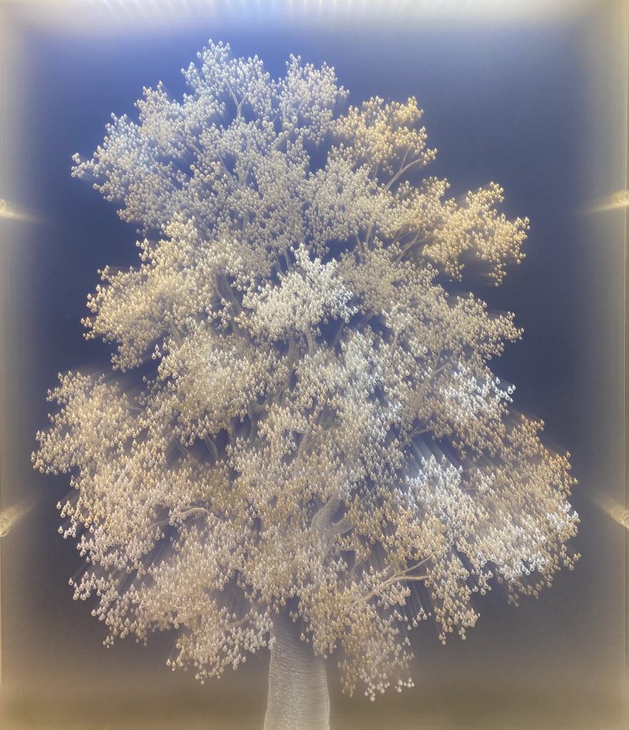 Tatyana Murray, Tree of Light (Oak), 2022, Refracted Light; glass, plexiglass, programmed LED lights, 37 x 27 x 5¼ inches