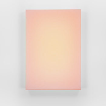 *SOLD* Timothy Schmitz, slab V/2 POCSY, 2022, Resin, digital pigment inkjet skins and polymers on acrylic, 26 x 18 x 3 inches