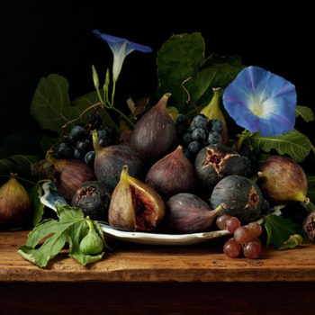 Paulette Tavormina | Figs and Morning Glories, After G.G., 2010