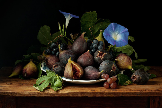 Paulette Tavormina, Figs and Morning Glories, After G.G., 2010, Archival pigment print, Various sizes available