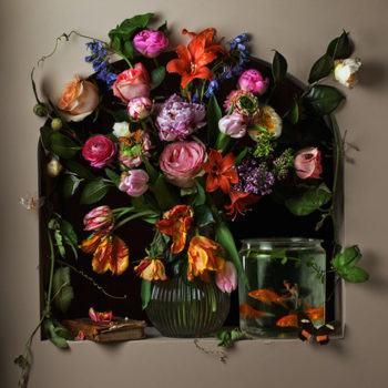 Paulette Tavormina | Flowers and Fish I, After G.V.S., 2012, Archival pigment print, Various sizes available