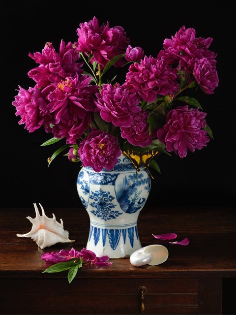 Paulette Tavormina, Garden Peonies and Shells, 2021, Archival pigment print, Various sizes available