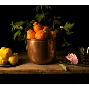 Paulette Tavormina, Lemons and Peony, After F.D.Z, 2018, Archival pigment print, Various sizes available
