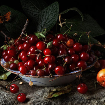 Paulette Tavormina, Red Cherries and Plums, After G.G., 2011, Archival pigment print, Various sizes available