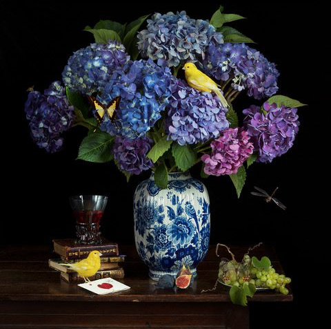 Paulette Tavormina, Blue Hydrangeas, Yellow Canary and Love Letter, 2022, Archival pigment print, Available in various sizes