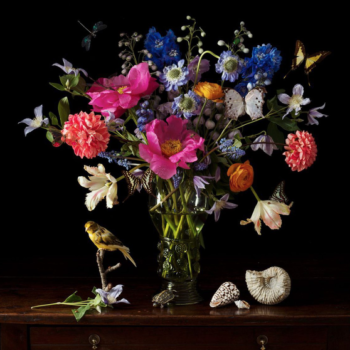 Paulette Tavormina, Dutch Flowers, Canary and Turtle, 2022, Archival pigment print, Available in various sizes