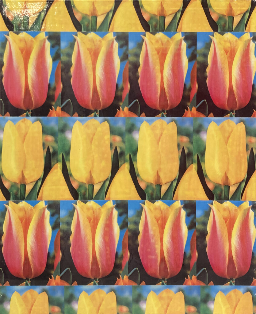 Peter Dayton, Mixed Repetition, 2002, Color epson collage on canvas, 20 x 16 inches