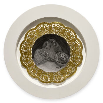 Alicia Brown, Specimen From Paradise 3, 2018, Charcoal on Strathmore paper mounted on gold paper doil, 15½ inch diameter, Framed in white wooden floater frame (no glass)