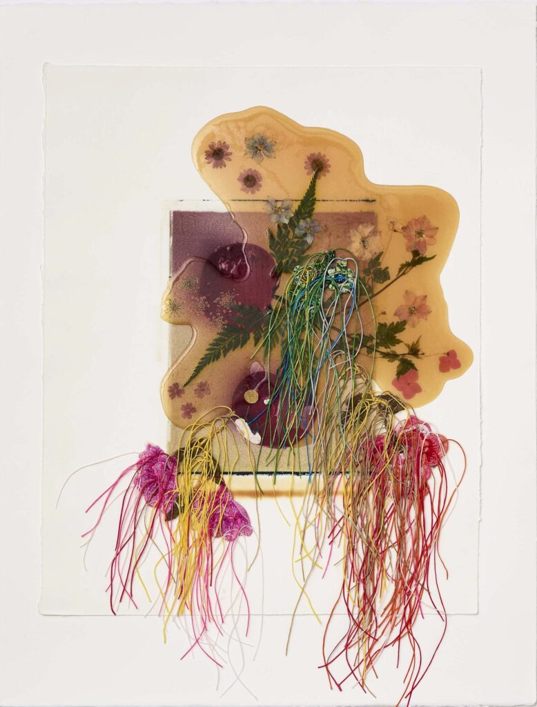 Jil Weinstock, Fruit or Vegetable, 2023, Photographs, rubber, plant life, and thread on BFK Rives paper, 26 x 19 inches