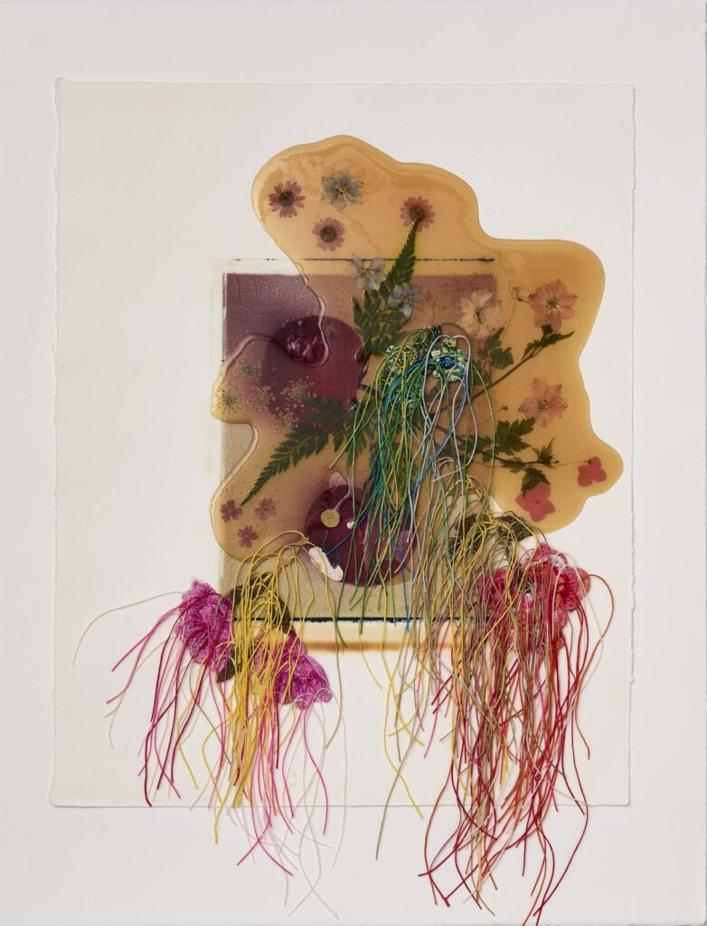 Jil Weinstock, Fruit or Vegetable, 2023, Photographs, rubber, plant life, and thread on BFK Rives paper, 20 x 16 inches