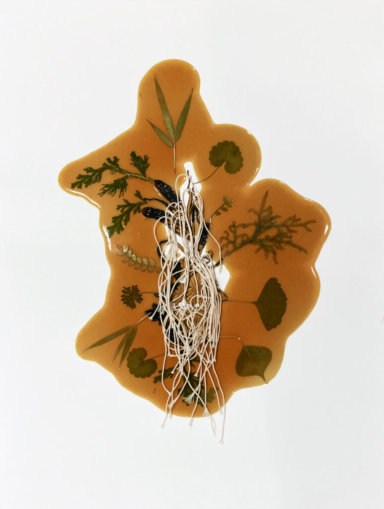 Jil Weinstock, Unwanted Collaborator #11, 2022, Thread, plant life, rubber, watercolor paper, 25½ x 19¾ inches, 31 x 25 x 1¾ inches (framed), Signed and titled in pencil on verso