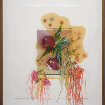 Jil Weinstock, Fruit or Vegetable, 2023, Photographs, rubber, plant life, and thread on BFK Rives paper, 26 x 19 inches, 28¾ x 22¾ x 2 inches framed