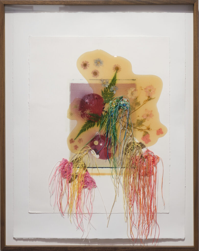 Jil Weinstock, Fruit or Vegetable, 2023, Photographs, rubber, plant life, and thread on BFK Rives paper, 26 x 19 inches, 28¾ x 22¾ x 2 inches framed