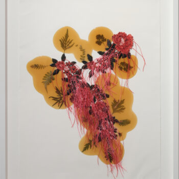 Jil Weinstock, Unwanted Collaborator #15, 2023, Thread, plant life, and rubber on watercolor paper, 26 x 19 inches, 31 x 25 x 1¾ inches framed