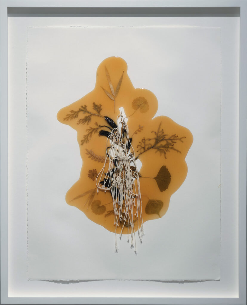 Jil Weinstock, Unwanted Collaborator #11, 2022, Thread, plant life, and rubber on watercolor paper, 25½ x 19¾ inches, 31 x 25 x 1¾ inches framed