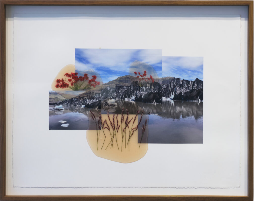 Jil Weinstock, Fjall Tindur Is (Mountain Peak and Ice), 2024, Photographs, rubber, plant life, and thread on Rives BFK paper, 19 x 26 inches, 22¾ x 28¾ x 2 inches framed