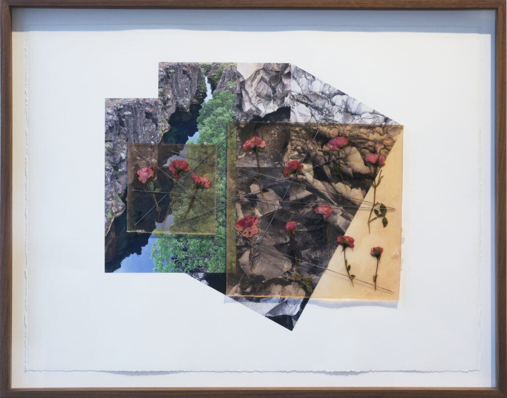 Jil Weinstock, Eldfjallaberg, Vatn, Gras og Rósir (Volcanic Rock, Water, Grass and Rose), 2024, Photographs, rubber, plant life, and thread on Rives BFK paper, 19 x 26 inches, 22¾ x 28¾ x 2 inches framed