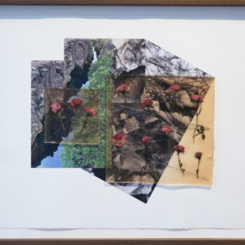 Jil Weinstock, Eldfjallaberg, Vatn, Gras og Rósir (Volcanic Rock, Water, Grass and Rose), 2024, Photographs, rubber, plant life, and thread on Rives BFK paper, 19 x 26 inches, 22¾ x 28¾ x 2 inches framed