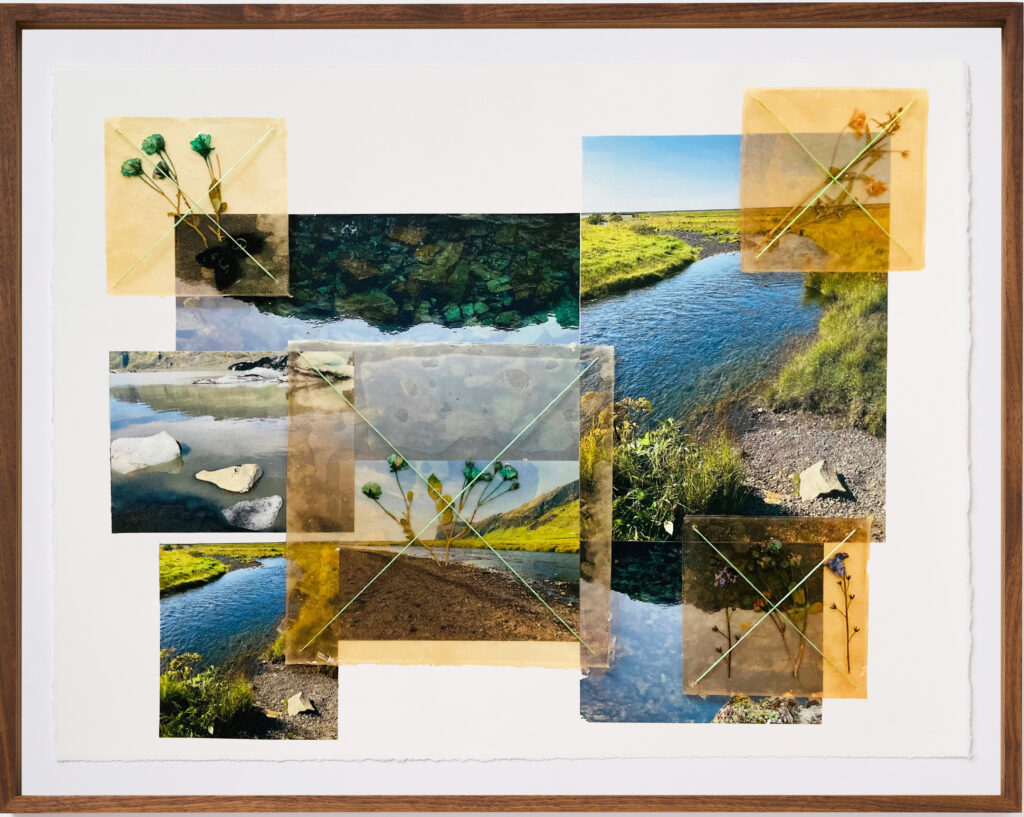 Jil Weinstock, Vatn Grjothrun Blom (Water Falling Rocks and Blooms), 2024, Photographs, rubber, plant life, and thread on Rives BFK paper, 19 x 26 inches, 22¾ x 28¾ x 2 inches framed