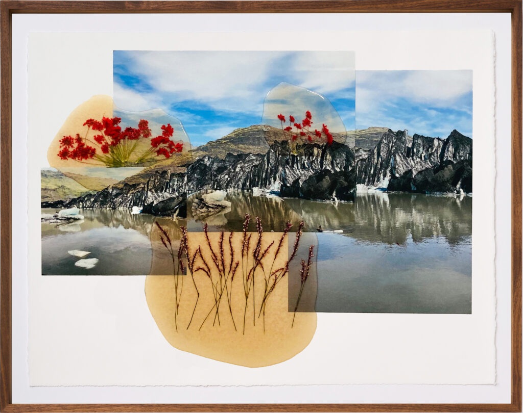 Jil Weinstock, Fjall Tindur Is (Mountain Peak and Ice), 2024, Photographs, rubber, plant life, and thread on Rives BFK paper, 19 x 26 inches, 22¾ x 28¾ x 2 inches framed