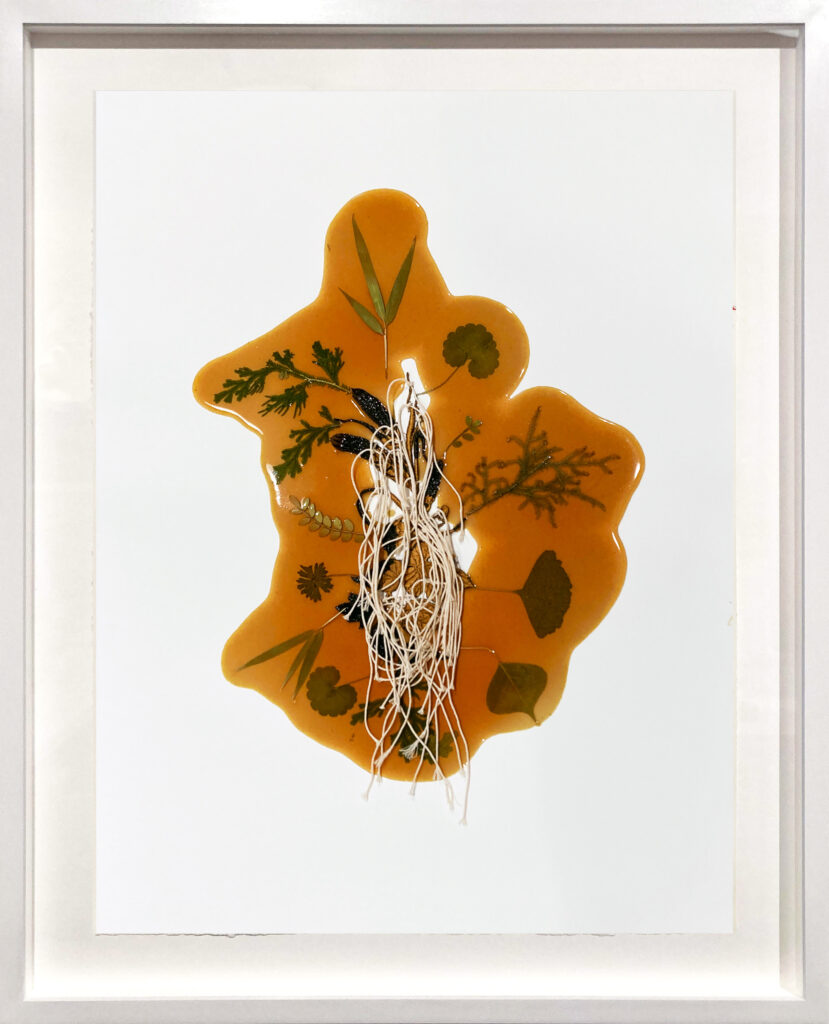Jil Weinstock, Unwanted Collaborator #11, 2022, Thread, plant life, and rubber on watercolor paper, 25½ x 19¾ inches, 31 x 25 x 1¾ inches framed