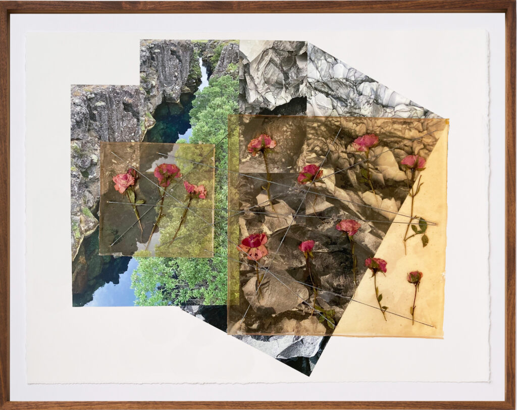 Jil Weinstock, Eldfjallaberg, Vatn, Gras og Rósir (Volcanic Rock, Water, Grass and Rose), 2024, Photographs, rubber, plant life, and thread on Rives BFK paper, 19 x 26 inches