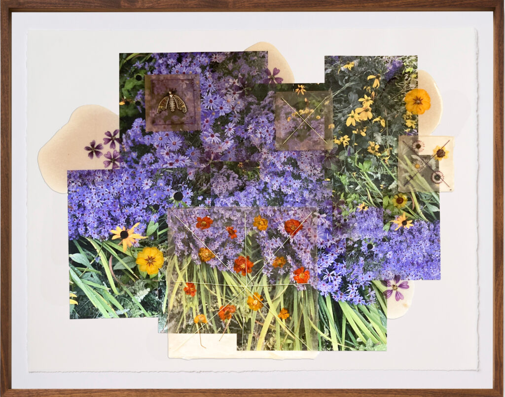 Jil Weinstock, Purple & Yellow Perennial Flowers, 2024, Photographs, rubber, plant life, and threads on Rives BFK paper, 30 x 44 inches