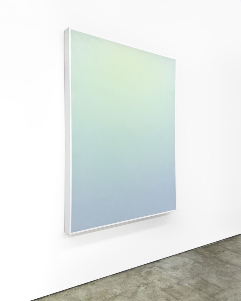 Timothy Schmitz, suffuse code 19066, 2023, Pigment inkjet transfer skin, polymers on stretched voile, 54 x 42 x 2½ inches