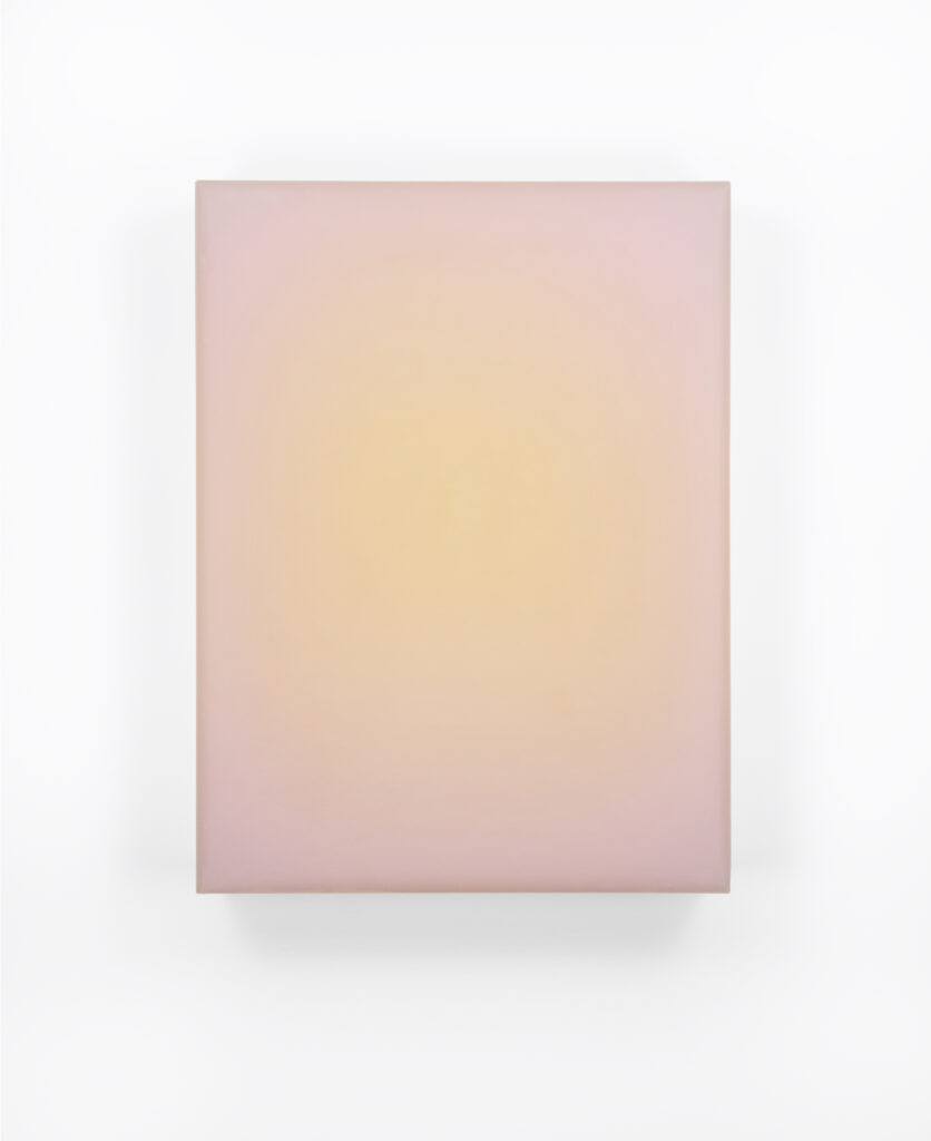 Timothy Schmitz, slab SPOY, 2022, Resin, digital pigment inkjet skins and polymers on acrylic, 16 x 12 x 3 inches