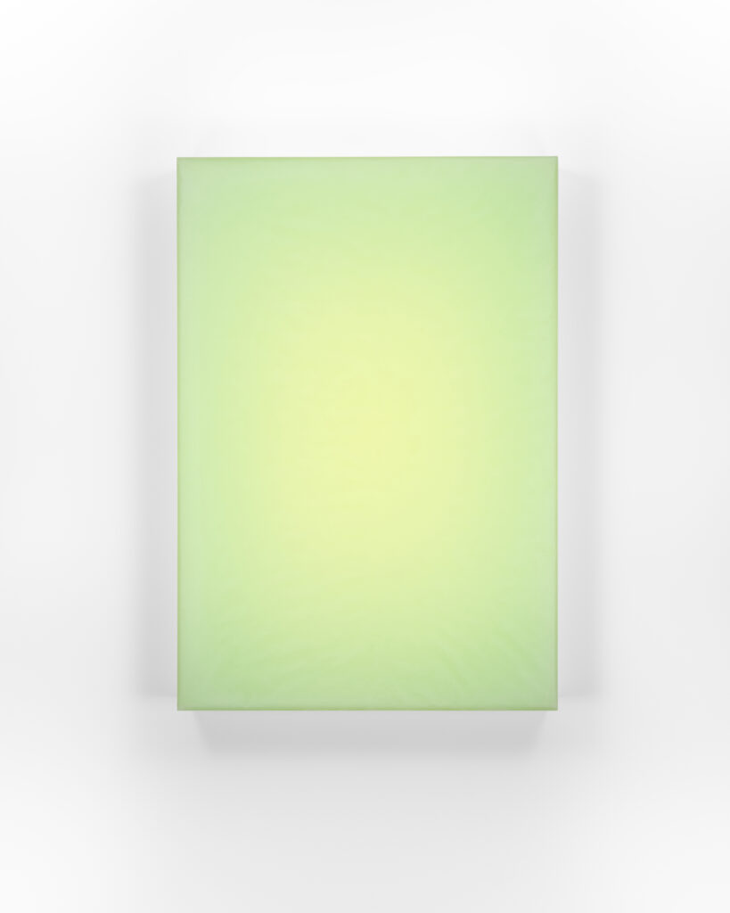 Timothy Schmitz, slab V/2 LGCY, 2022, Resin, digital pigment inkjet skins and polymers on acrylic, 26 x 18 x 3 inches