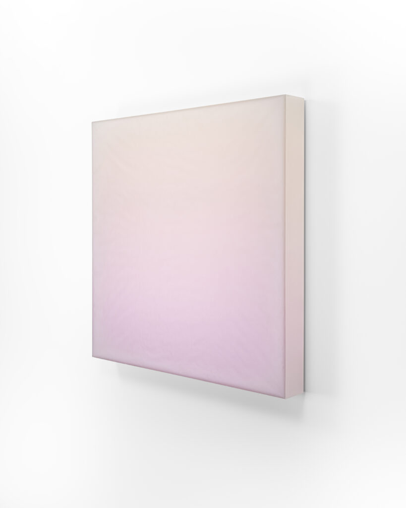 Timothy Schmitz, slab V/2 RPSC, 2022, Resin, digital pigment inkjet skins and polymers on acrylic, 24 x 24 x 3 inches