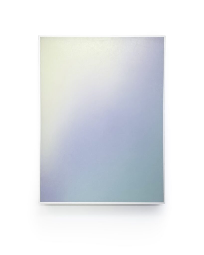 Timothy Schmitz, suffuse code 20533, 2023, Pigment inkjet transfer skin, polymers on stretched voile, 48 x 36 x 2 1/2 inches