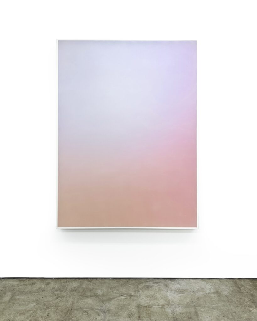 Timothy Schmitz, suffuse code 6466, 2023, Pigment inkjet transfer skin, polymers on stretched voile, 60 x 44 x 2½ inches