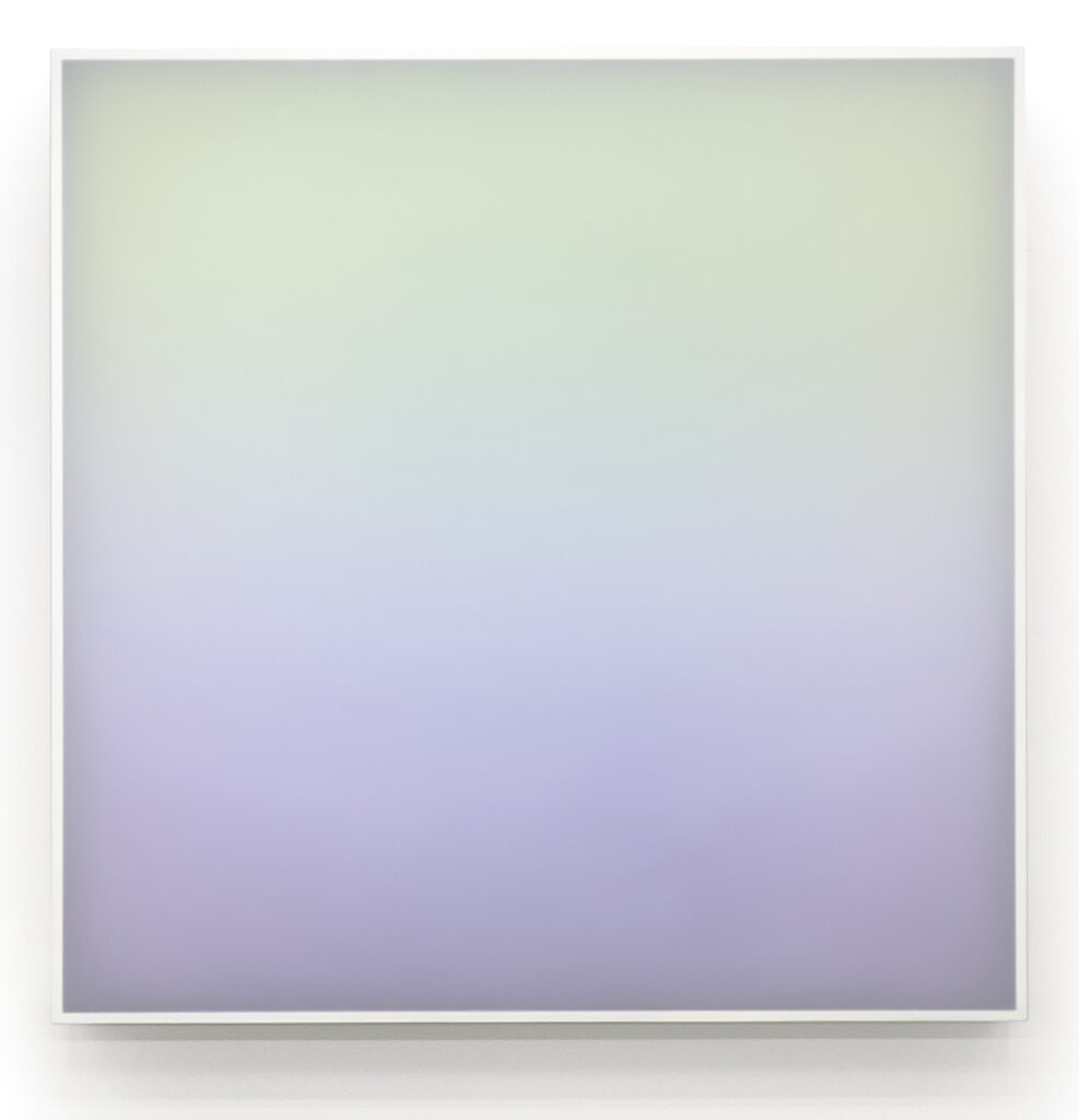 Timothy Schmitz, SS/24.LBM, 2024, Mixed media, polymers, and marble dust on stretched voile, 44 x 44 inches