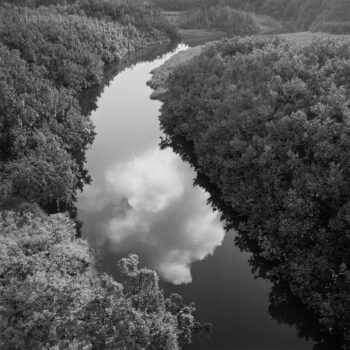 Sally Gall, Wailua River, 2016, Archival pigment print, Edition of 20, 19 x 19 inches