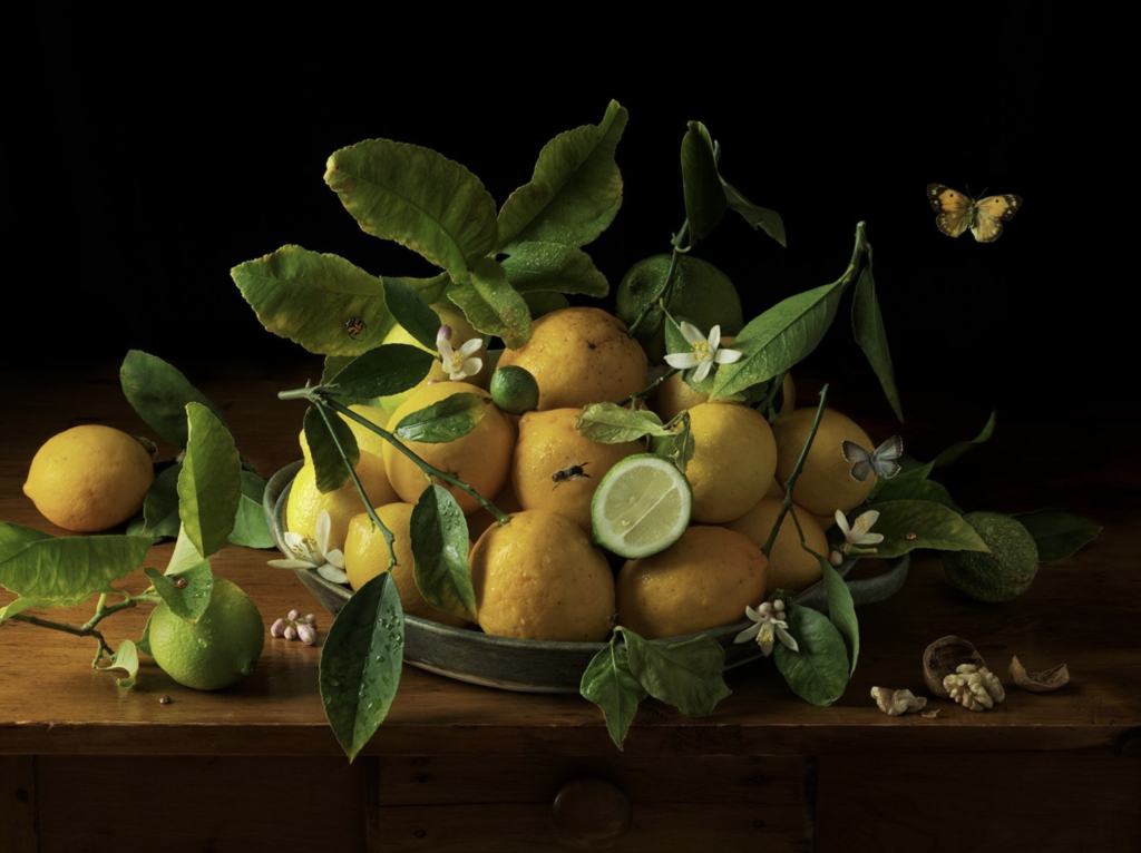 Paulette Tavormina, Garden Lemons, Ode to N.H.P., 2024, Archival pigment print, Available in various sizes