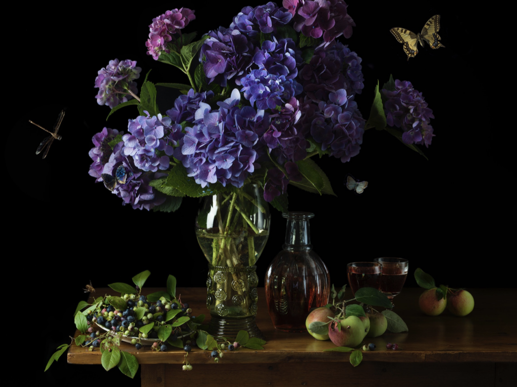 Paulette Tavormina Periwinkle Hydrangeas, 2025 Archival pigment print