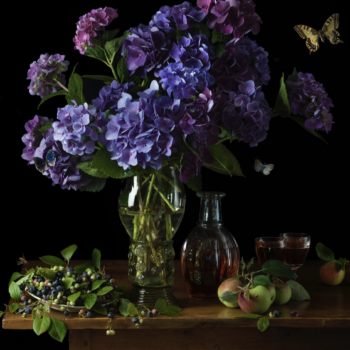 Paulette Tavormina Periwinkle Hydrangeas, 2025 Archival pigment print