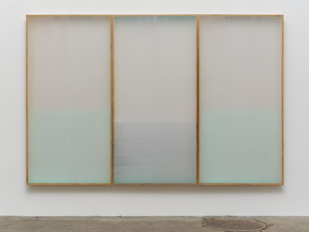 Heather Hutchison, Three Harmonies, 2003, Plexiglas, beeswax, birch, graphite, pigment, enamel, 71 x 98 x 3 1/2 inches (triptych)