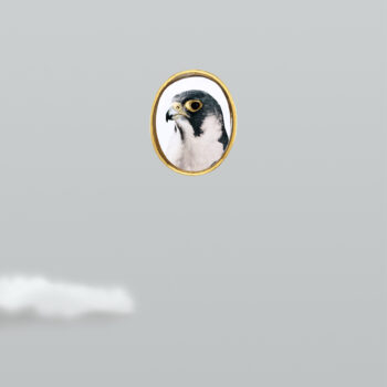 Robert Wilson, Guinevere (Peregrine Falcon) from the series Hermès by Nature, 2016, 46-55 inch plasma screen