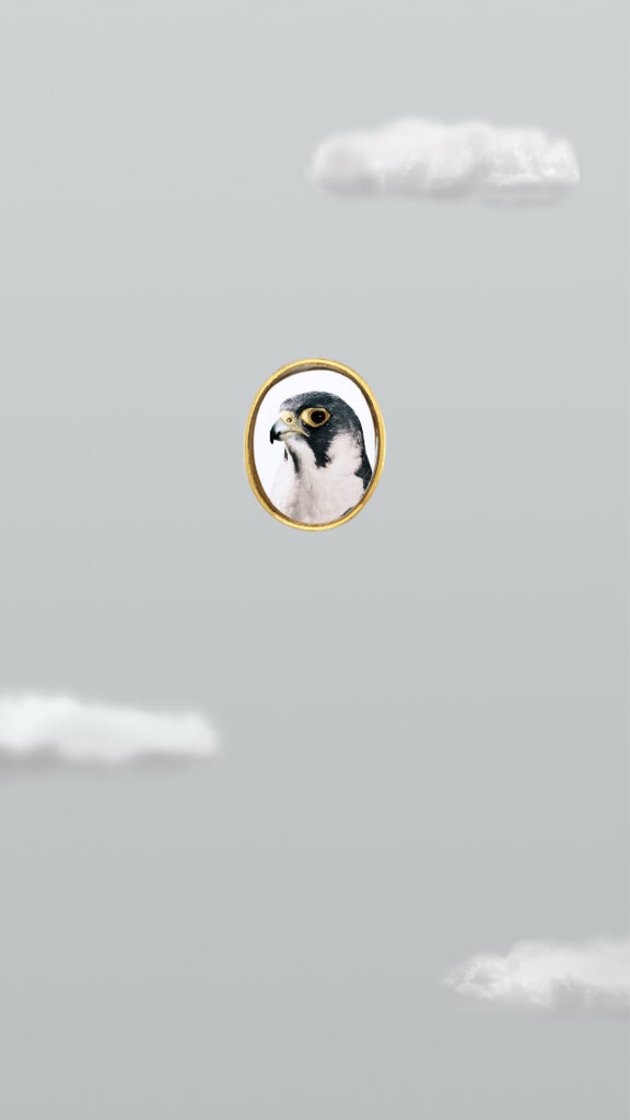 Robert Wilson, Guinevere (Peregrine Falcon) from the series Hermès by Nature, 2016, Available in various sizes