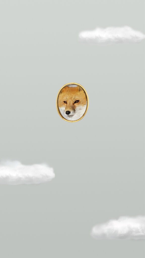 Robert Wilson, Quincy (Red Fox) from the series Hermès by Nature, 2016, Seamlessly looped UHD Video & Audio, Available in various sizes