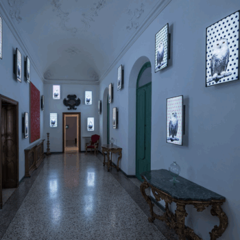 Tree of Life Video Portraits, Tales Exhibition Villa Panza, Varese, Italy